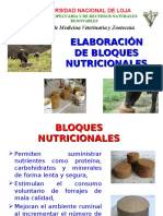 Bloques Nutricionales LAM