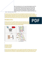 Tahap Proses Replikasi DNA