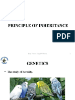 Chapter 6 - Principle of Inheritance