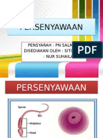 PERSENYAWAAN