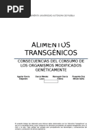 Alimentostransgenicos Buap Ensayo 140419164958 Phpapp01