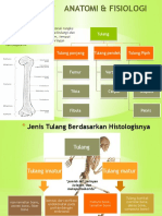 Anatomi & Fisiologi Tulang