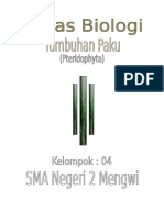 Biologi Tumbuhan Paku