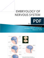 Embryologi Sistem Saraf