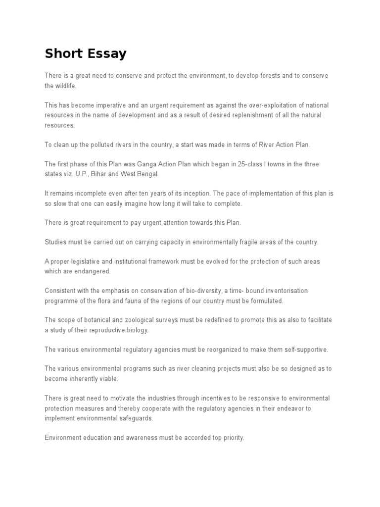 short essay on environment pollution