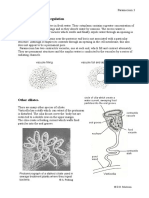 Paramecium Osmoregulation and Contractile Vacuoles