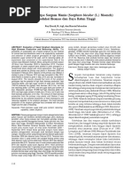 Download Evaluasi Genotipe Sorgum Manis Sorghum b by roy efendi SN326113304 doc pdf