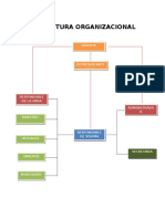 Estructura Organizacional