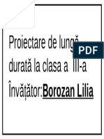 Proiectare de Lungă Durată La Clasa A III