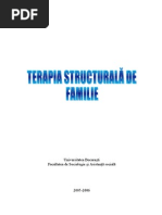 Terapia Structural A de Familie