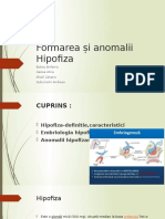 Formarea Și Anomalii Hipofiza