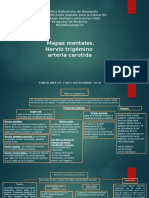 Mapa Mental de Nervio Trigemino y Arteria Carotida. I Unidad de Morfofisiologia III