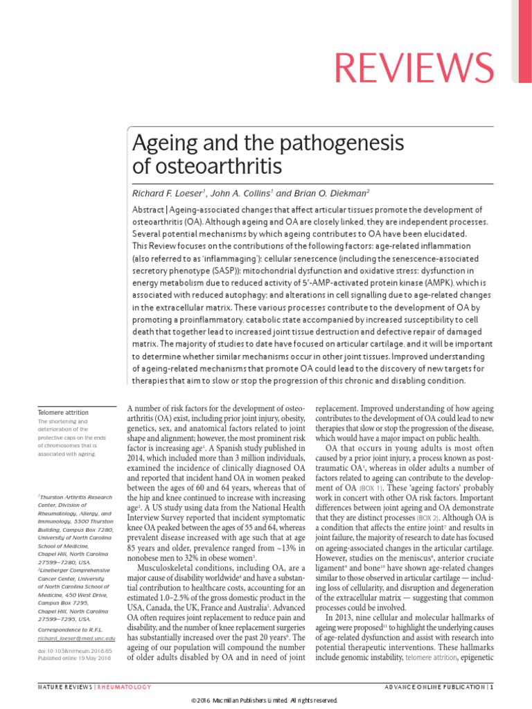 Ageing and Osteoarthritis | PDF | Reactive Oxygen Species | Adipose Tissue