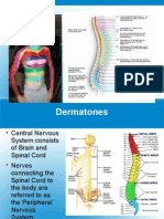 Dermatomes