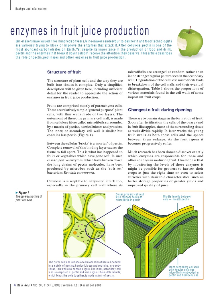 Enzymes in Fruit Juice Production PDF Cell Wall Juice