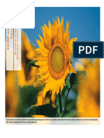 Sunflower_CISSP.pdf