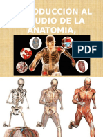 Anatomía, Fisiología y Educación para La Salud