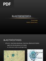 Clase 2 Blastocystocis CORREGIDO