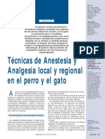 Tecnicas de Analgesia Local y Regional en El Perro y El Gato