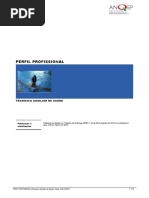 prefil profissional3