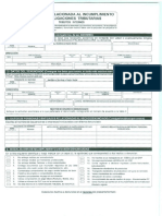 FormatoDenuncias - SUNAT.pdf