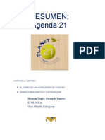Agenda 21 Huaman Lopez