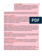 Clasificación y funciones de los 4 tejidos