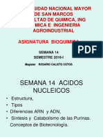 Purinas - Bioquimica