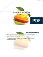 Size Reduction PDF