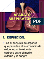 Sistema Respiratorio 2010