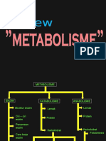 Review Metabolisme 1