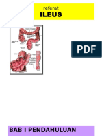 Bedah Digestif - SKD 2 - Ileus