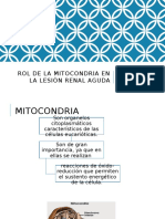 Rol mitocondria LRA