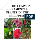 List of Common Ornamental Plants in The Philippines