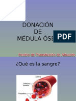 Charla Donacion Medula Osea