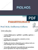 Piolhos PDF