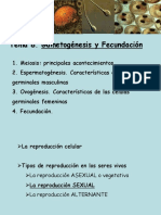 ..Tema 8. Gametogénesis y Fecundación