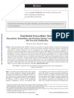 Review: Endothelial Extracellular Matrix