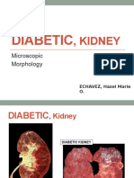 Diabetic, Kidney