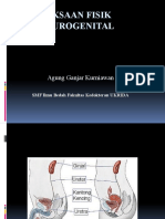 Pemeriksaan Fisik Urogenital