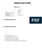 Curriculum Vitae Modelo