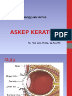 Keratitiskornea