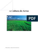 A Cultura do Arroz.pdf
