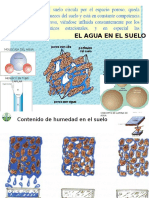 EL AGUA DEL SUELO.pptx