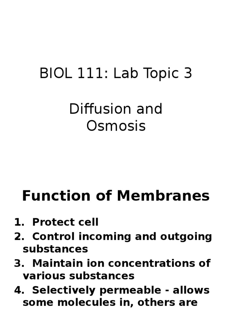 Diffusion and Osmosis in Cell Membranes | PDF | Cell Membrane | Osmosis