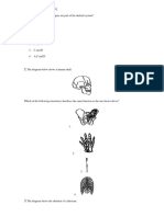 P4 SCIENCE Skeleton