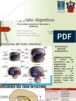 Desarollo del intestino anterior.