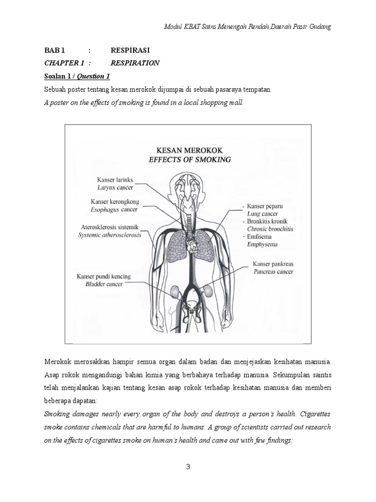 Soalan Kbat Sains Tingkatan 3 Bab 1 Sains Tingkatan 3 Bab 1 Worksheet
