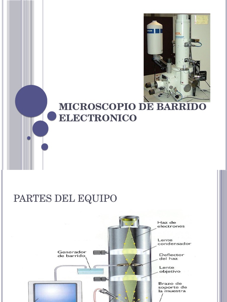 Microscopio De Barrido Electronico Pdf Microscópio Electrónico