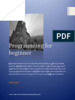 Programming PDF